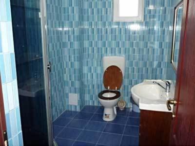 Pension Casa Sibiana Сулина Номер фото